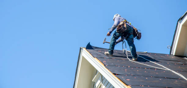 Roof Gutter Cleaning in Cedar City, UT